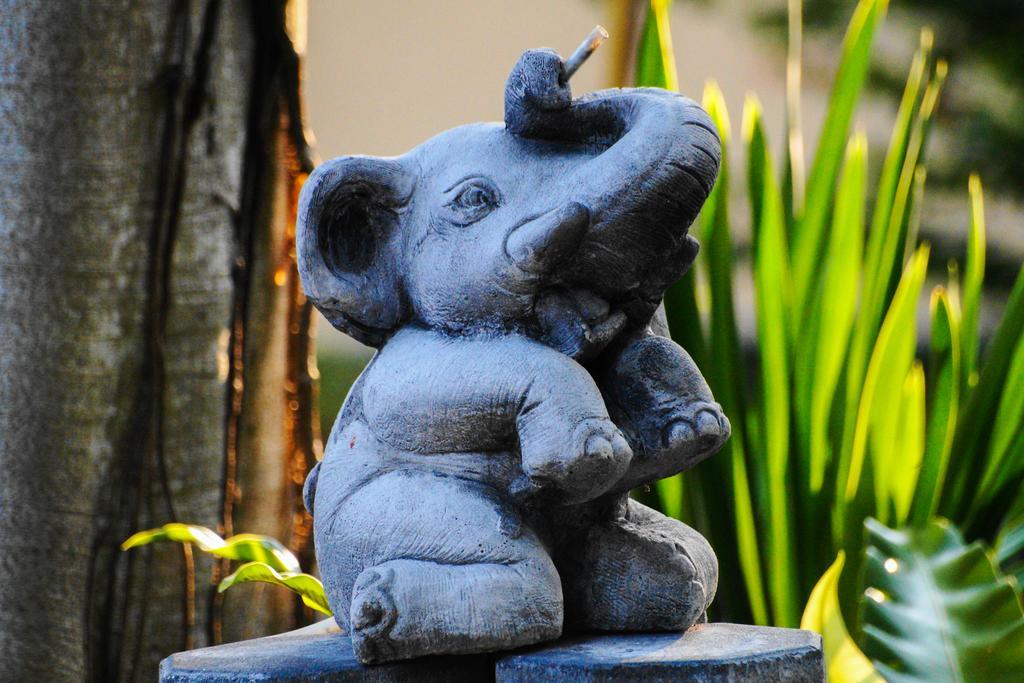 Thai Dee Garden Resort Haad Rin Exterior photo
